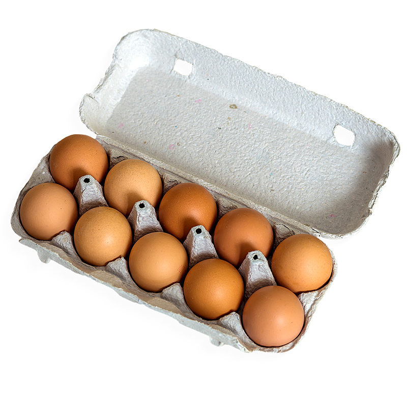 Eieren 10 stuks maat L