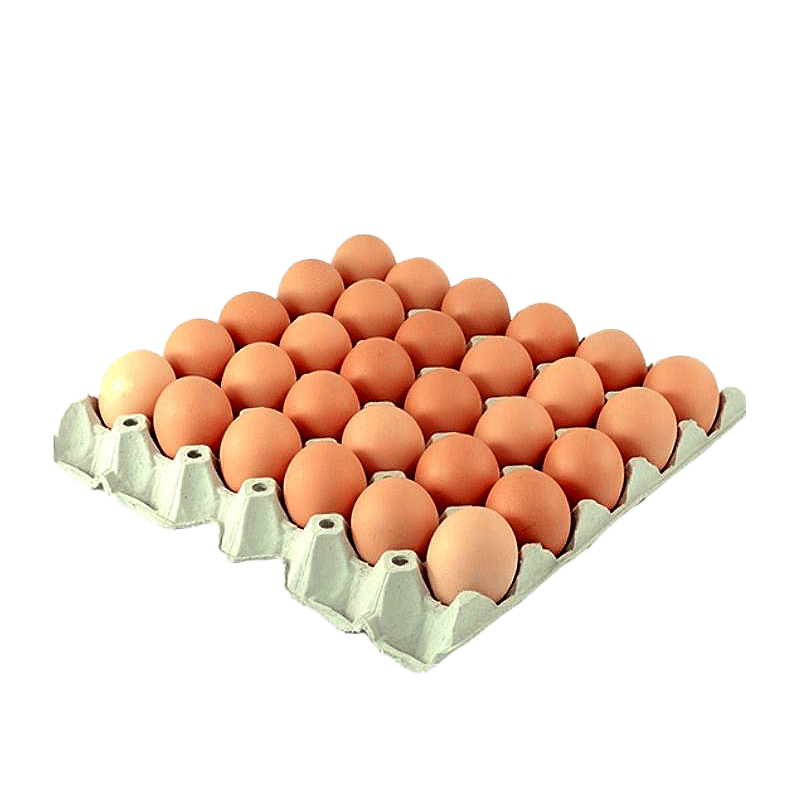 Eieren 30 stuks maat L